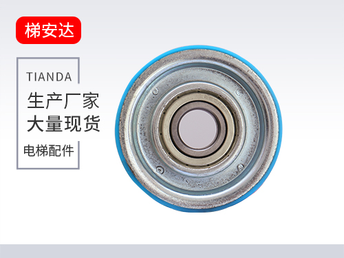 天津(jin)奧的斯門(mén)挂輪